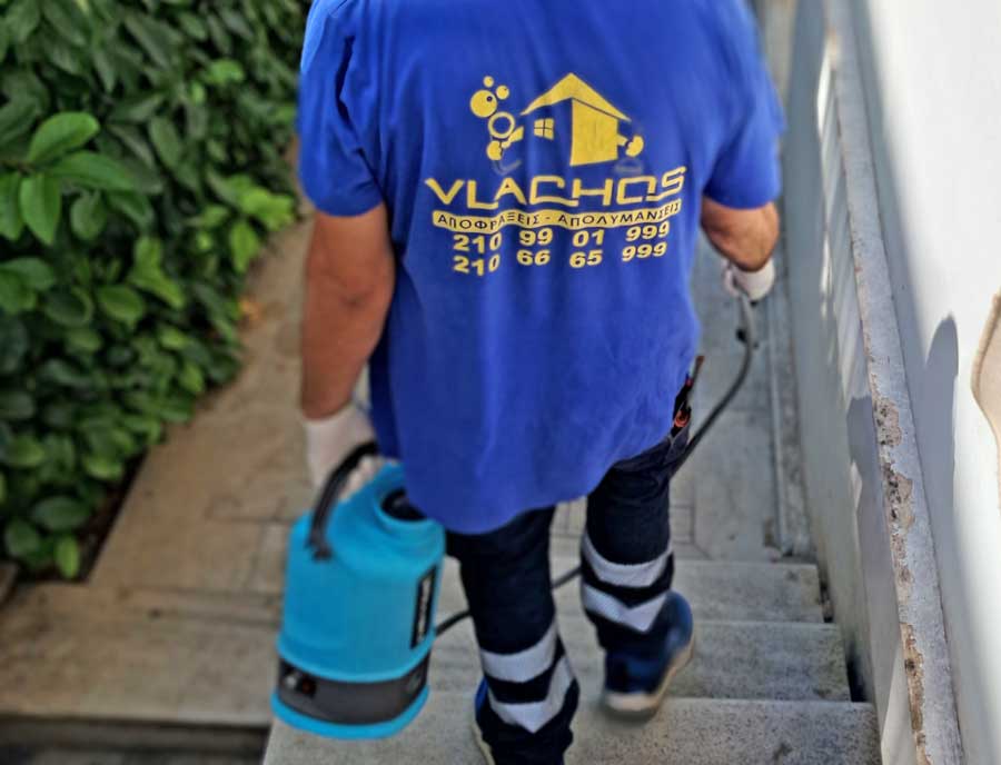 Απεντόμωση κατσαρίδων σε εξωτερικό χώρο από τεχνικό μας.