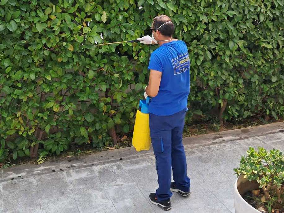 Τεχνικός της ΑΠΟΛΥΜΑΝΣΕΙΣ ΒΛΑΧΟΣ κάνει απολύμανση απεντόμωση για κουνούπια σε κήπο.