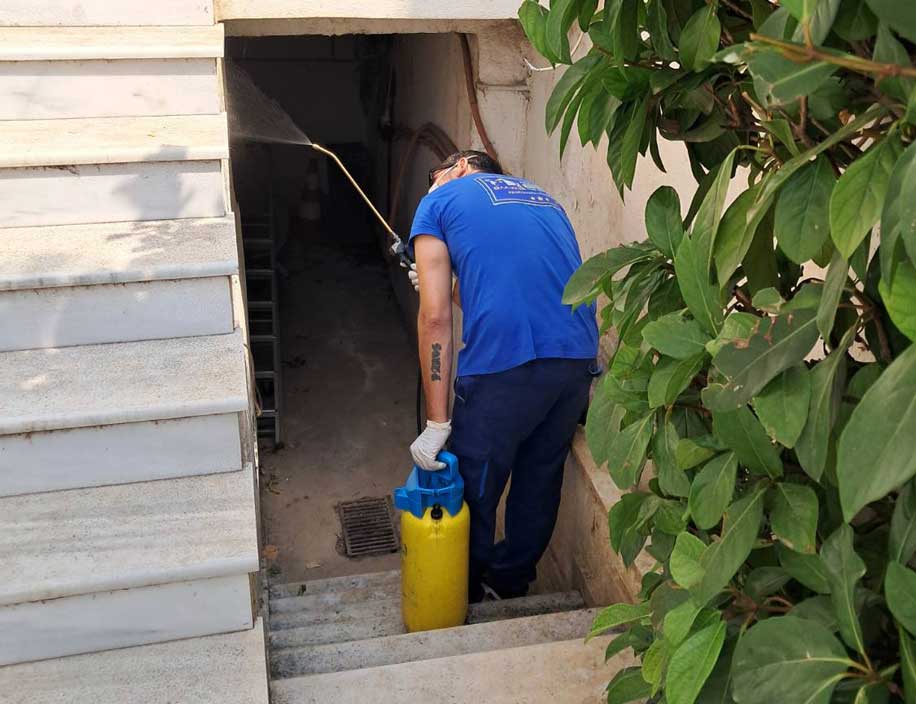 Τεχνικός της ΑΠΟΛΥΜΑΝΣΕΙΣ ΒΛΑΧΟΣ κάνει απολύμανση απεντόμωση για κουνούπια σε σημεία που κρύβονται στο κήπο.